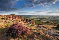 1010 Curbar Heather 01 Chris Gilbert, Ravenseye Gallery, Peak District, Photographs, Courses